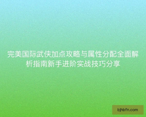 完美国际武侠加点攻略与属性分配全面解析指南新手进阶实战技巧分享